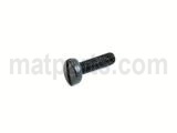 SS7081310SP SCREW